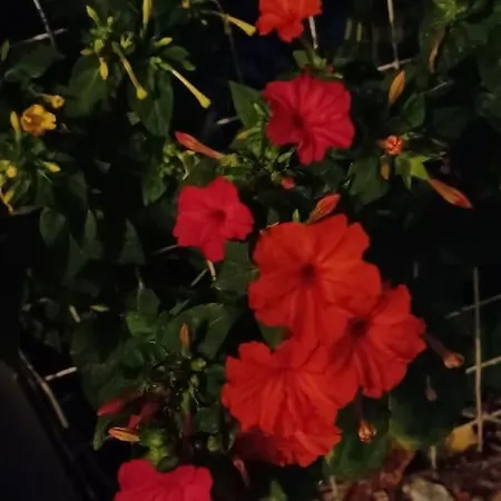 Nyaraló ηλιόλουστη εξοχική κατοικία με κήπο και Parking *